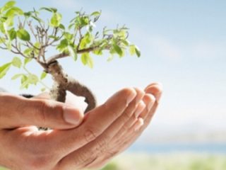 gestion de patrimoine